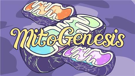 Banner Picture